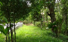 Philip Mary Farm Stay