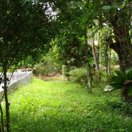 Philip Mary Farm Stay Thekkady Extérieur photo