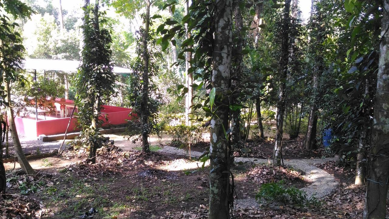 Philip Mary Farm Stay Thekkady Extérieur photo