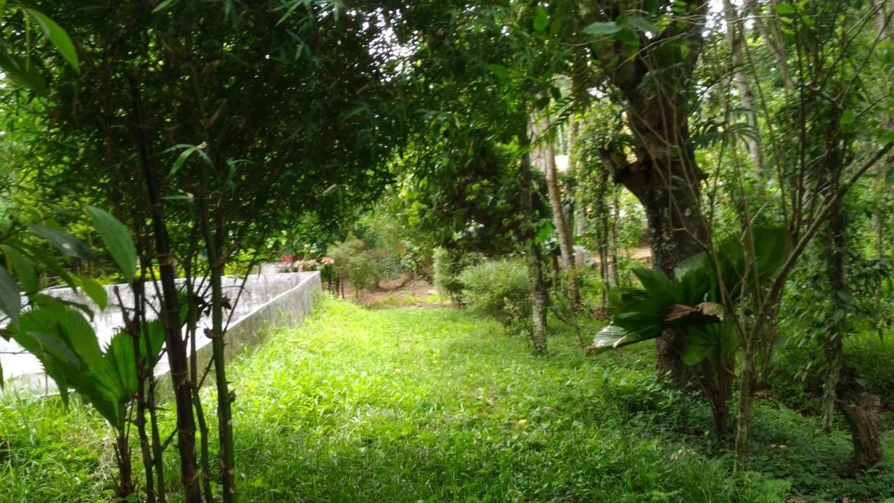 Philip Mary Farm Stay Thekkady Extérieur photo