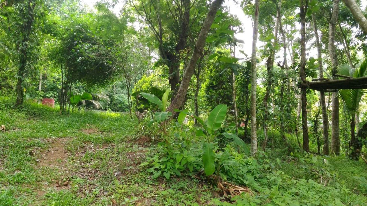 Philip Mary Farm Stay Thekkady Extérieur photo