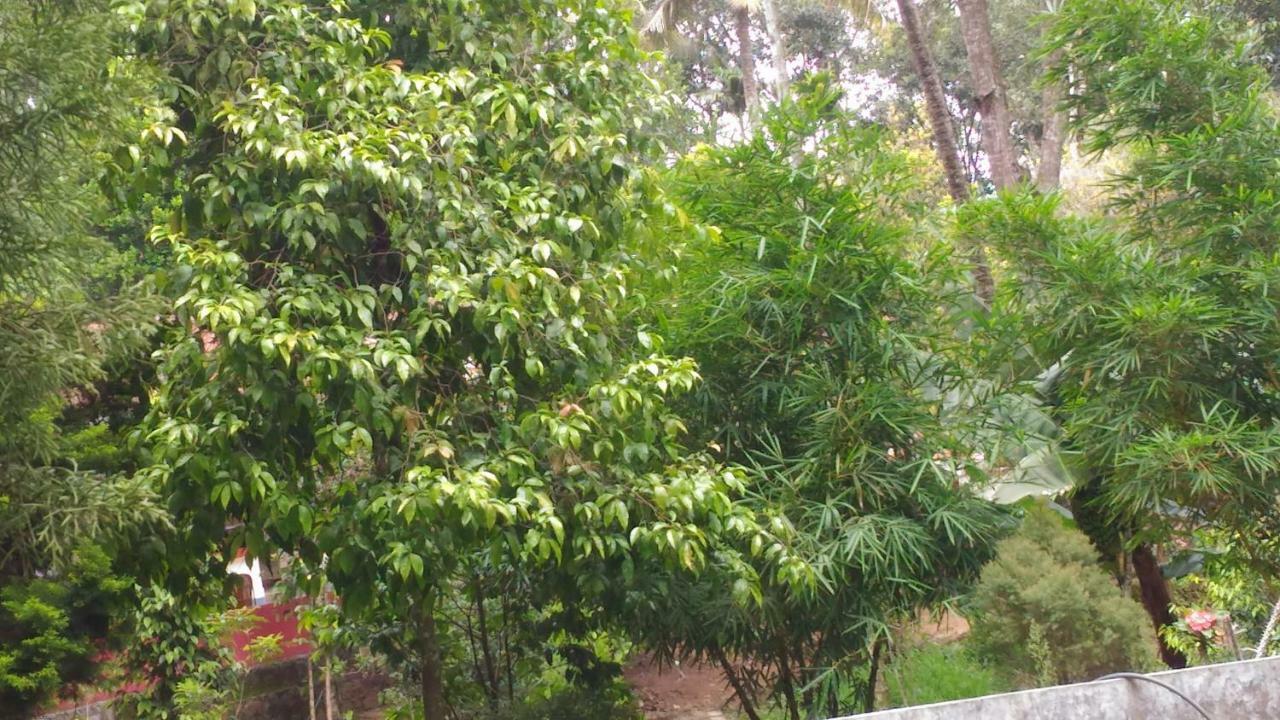 Philip Mary Farm Stay Thekkady Extérieur photo