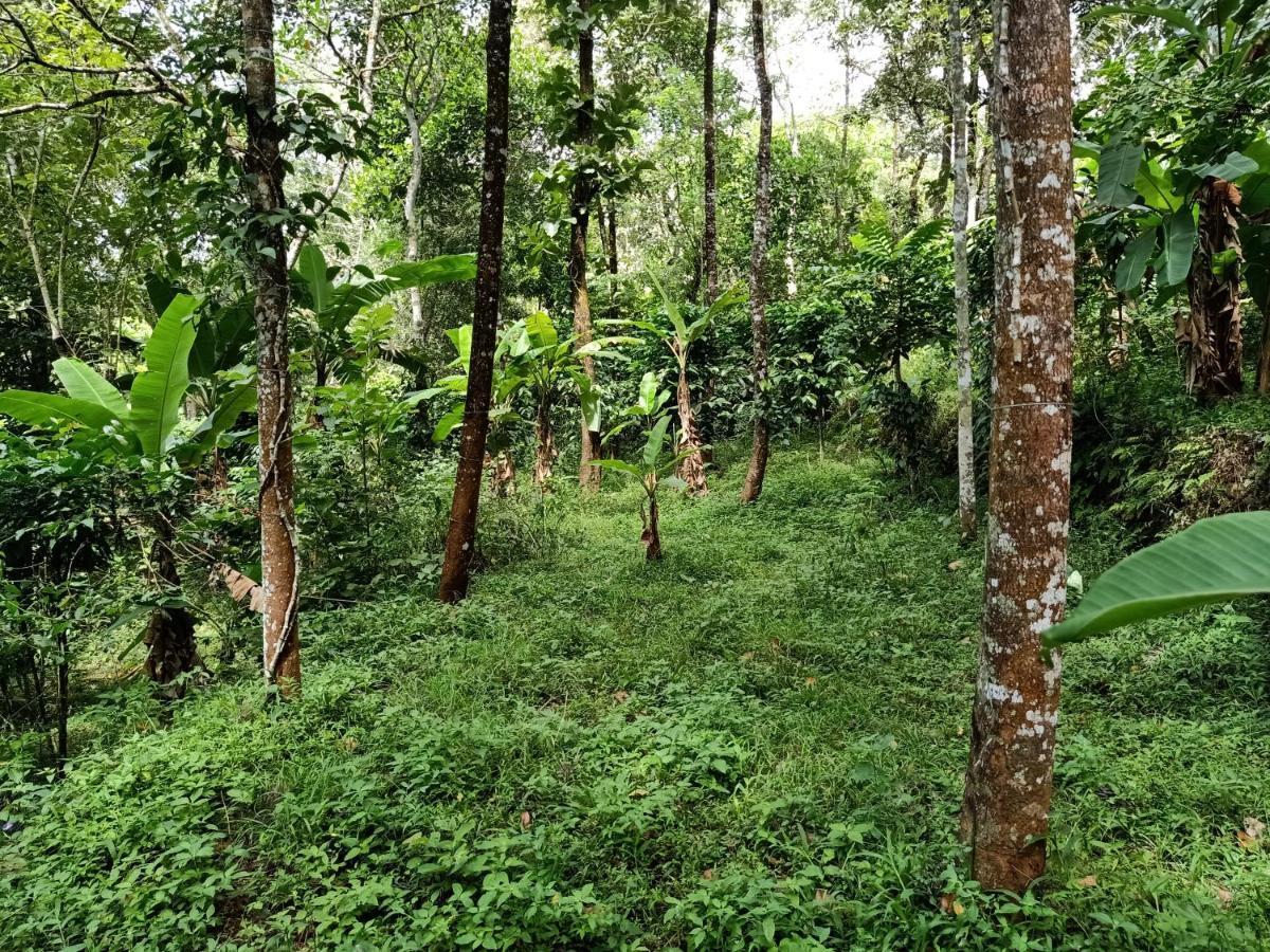 Philip Mary Farm Stay Thekkady Extérieur photo